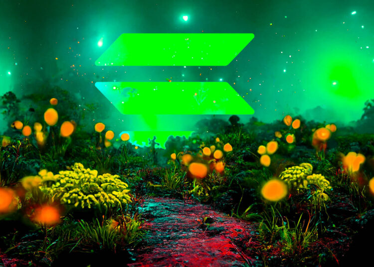 Top Ethereum Rival Is Now Flashing Bullish Signal, According to Crypto Analytics Firm Santiment