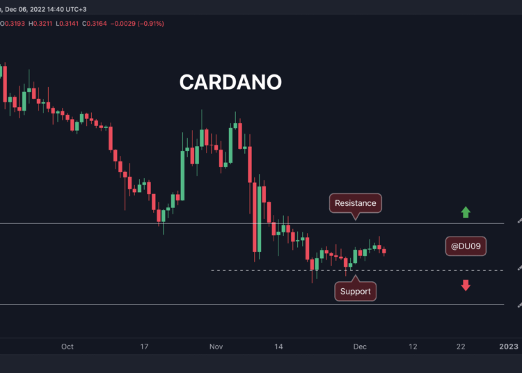 Cardano Loses Moment, Here’s the Key Support to Watch (ADA Price Analysis)