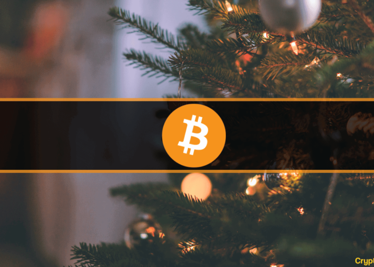 Will 2023 Finally End Bitcoin Price’s Stagnancy Amid $17K?