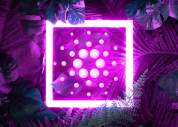 Coin Bureau Host Details Cardano Outlook, Says These Catalysts Will Determine ADA’s Long-Term Performance
