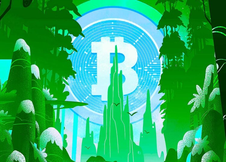 Crypto Analyst Says Bitcoin Bear Market ‘Closer and Closer’ To End, Breaks Down Cardano and Two Other Altcoins