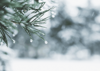 Coinbase Predicts Extended Crypto Winter for Altcoins