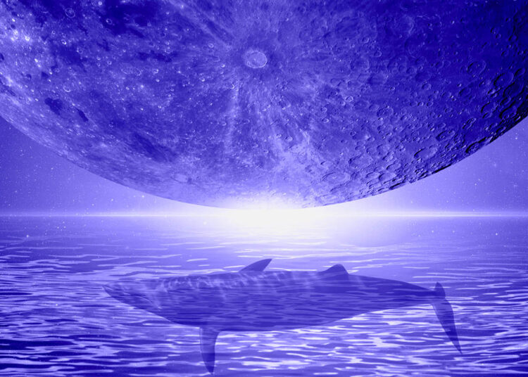 Shiba Inu Whale Abruptly Moves 2,871,107,065,473 SHIB in One Massive Crypto Transaction