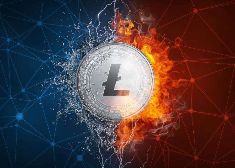 Litecoin was never down in 11 years, price charts look super bullish