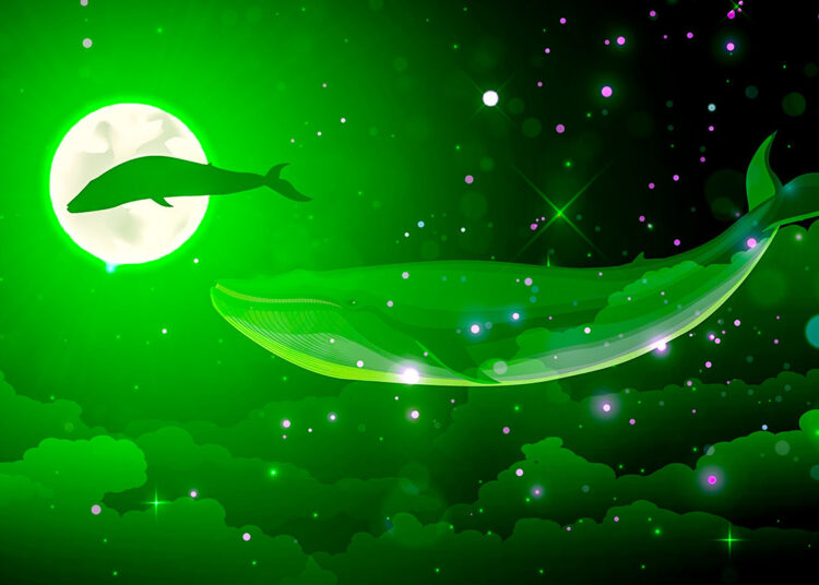 Whales Relocate $440,000,000 in Bitcoin and XRP As Market Volatility Returns – Here’s Where the Crypto Is Going