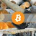3 Things to Watch to Identify Bitcoin’s Breaking Point: DataDash