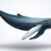 This Week XRP Whales Moved Millions of Tokens to Exchanges and Unknown Wallets – Altcoins Bitcoin News