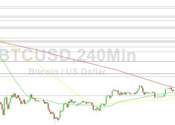 Bitcoin Price Analysis: 17999 Paid