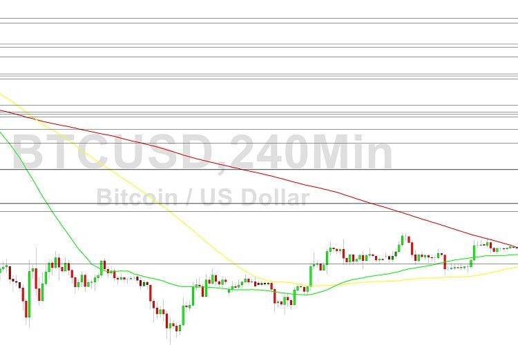 Bitcoin Price Analysis: 17999 Paid