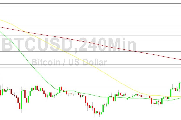 Bitcoin Price Analysis: Action at 16879