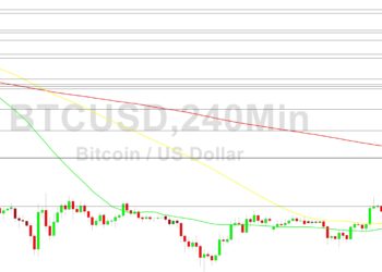 Bitcoin Price Analysis: Bulls Eyeing 17791