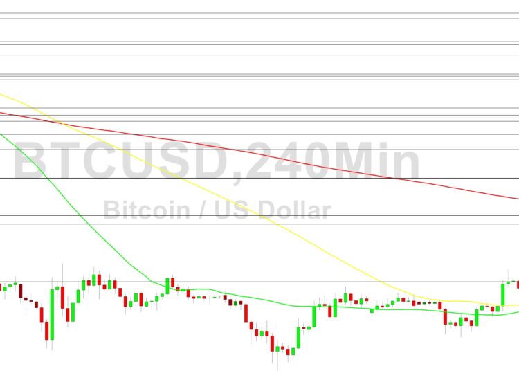 Bitcoin Price Analysis: Bulls Eyeing 17791