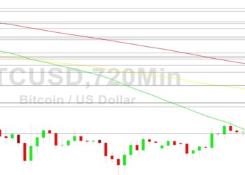 Bitcoin Price Analysis: 16879 Holding Now