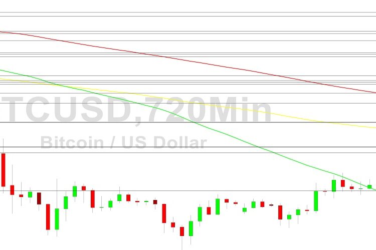 Bitcoin Price Analysis: 16879 Holding Now