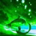 Whale Initiates Massive $12,000,000 Polygon (MATIC) Transaction on Coinbase As Top Crypto Asset Rebounds