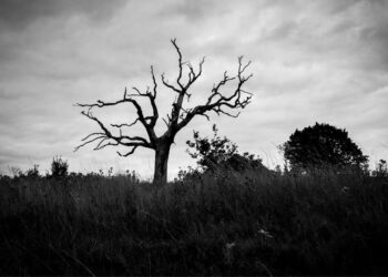 The Recent Wave of Mysterious Deaths in Crypto
