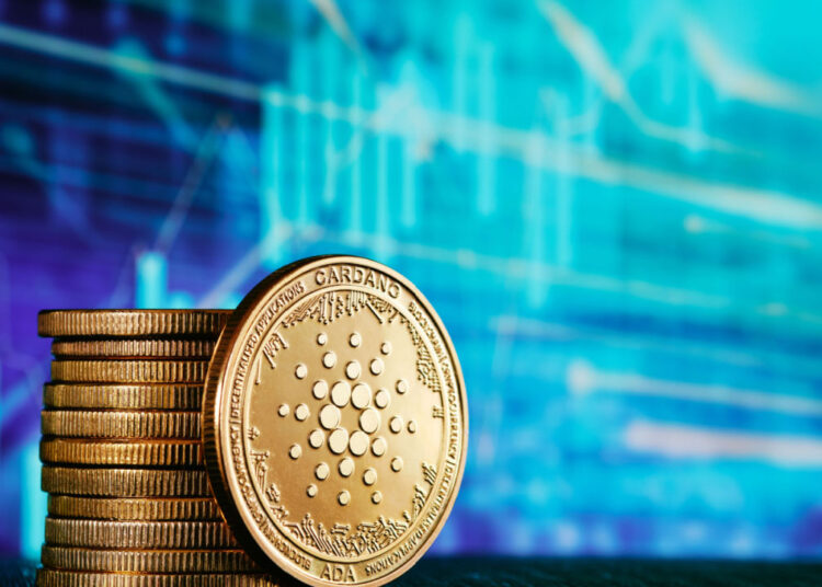 Biggest Movers: ADA, XRP Rebound From Recent Losses on Friday – Market Updates Bitcoin News