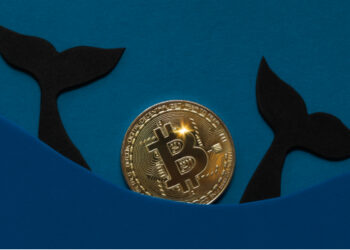 Bitcoin whales accumulated $726m in BTC over past 9 days