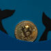 Bitcoin whales accumulated $726m in BTC over past 9 days