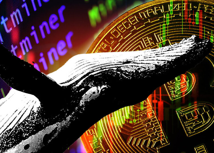 Record-breaking Bitcoin whale selloff, 280k BTC offloaded in 30 days