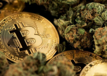California Cannabis Grower Using Blockchain For Tracking