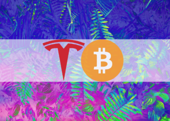 Tesla Remained a Bitcoin Hodler During Q2 of 2022