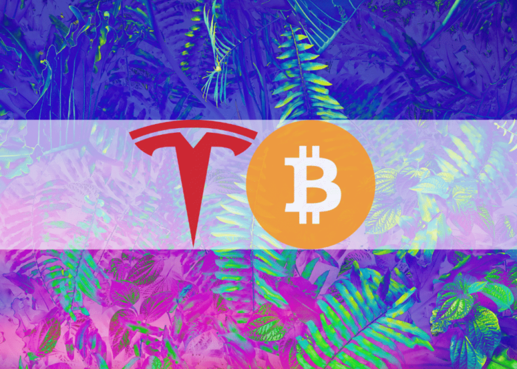 Tesla Remained a Bitcoin Hodler During Q2 of 2022