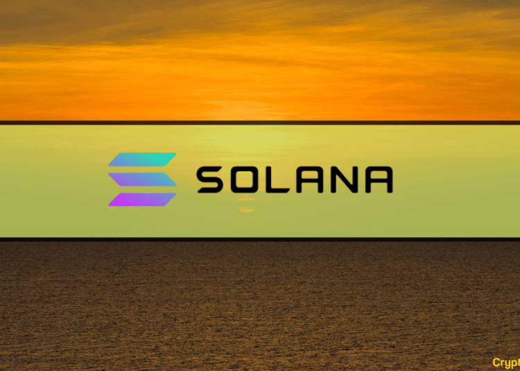 3 Reasons Solana Regained its December Losses in a New Year Rally