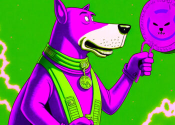 Largest Crypto Wallets To Support Major Shiba Inu (SHIB) Upgrade As Dogecoin Rival Holds 70% Gains Year-to-Date