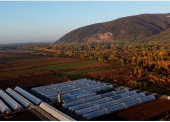 Ukrainian company AgroGloryTime Introduces Innovative Solutions for Enhanced Crypto Investments