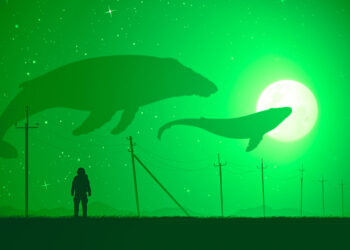 Shiba Inu (SHIB) and XRP Whales Abruptly Move Over $116,000,000 Worth of Crypto Assets Over the Weekend