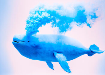 Crypto Whales Move Over $317,000,000 in Bitcoin, Ethereum, XRP and Polygon – Here’s Where It’s Headed
