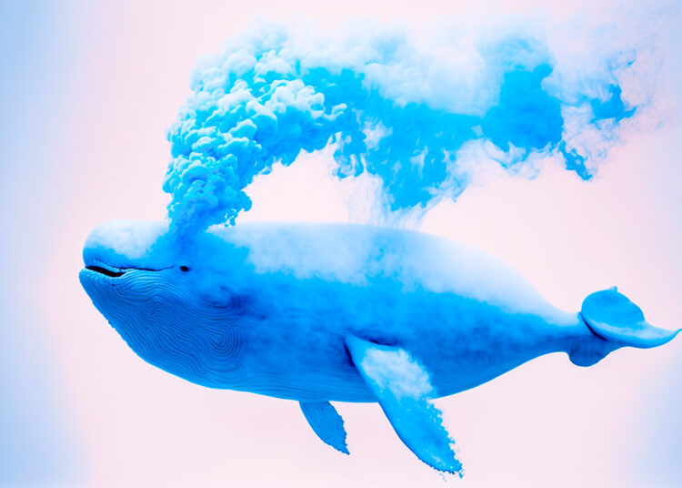 Crypto Whales Move Over $317,000,000 in Bitcoin, Ethereum, XRP and Polygon – Here’s Where It’s Headed