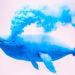 Crypto Whales Move Over $317,000,000 in Bitcoin, Ethereum, XRP and Polygon – Here’s Where It’s Headed