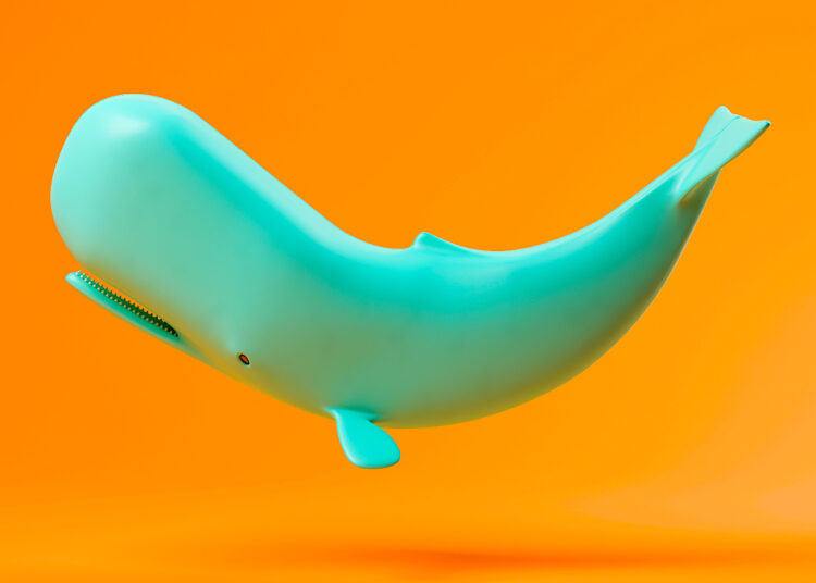 Crypto Whales Move Over $670,000,000 in Bitcoin, Ethereum, XRP, Polygon and Curve – Here’s Where It’s All Going