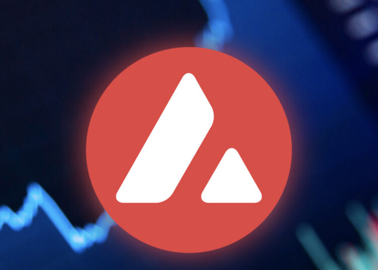 Avalanche partners with Amazon – adds subnets to AWS marketplace