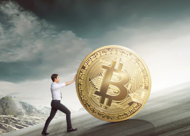 The next bull market leaves base camp