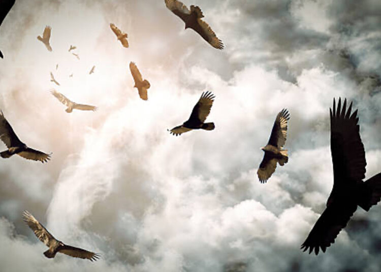 Coindesk Up for Sale? Investors Circle Crypto News Publication Amidst Genesis Bankruptcy – Bitcoin News