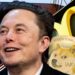 Elon Musk Reaffirms Offer to Eat Happy Meal on TV if McDonald’s Accepts Dogecoin – Featured Bitcoin News