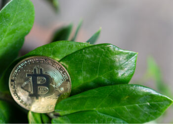 Ex Meta exec says crypto winter to end in 2025