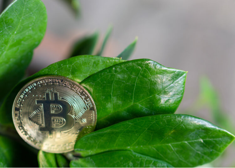 Ex Meta exec says crypto winter to end in 2025