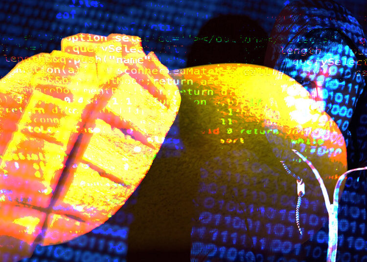 SEC says Mango Markets attacker stole $116M, violated securities laws