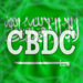 Saudi Central Bank Continues Testing on its CBDC