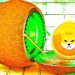 Shiba Inu Teases New Crypto Projects As Dogecoin Rival Prepares to Launch Major Ecosystem Expansion