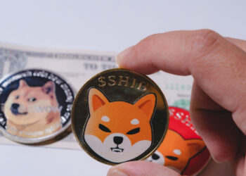 Meme Coins Move Lower, With SHIB Declining by 10% – Market Updates Bitcoin News