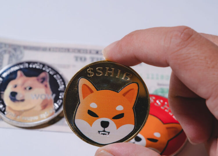Meme Coins Move Lower, With SHIB Declining by 10% – Market Updates Bitcoin News