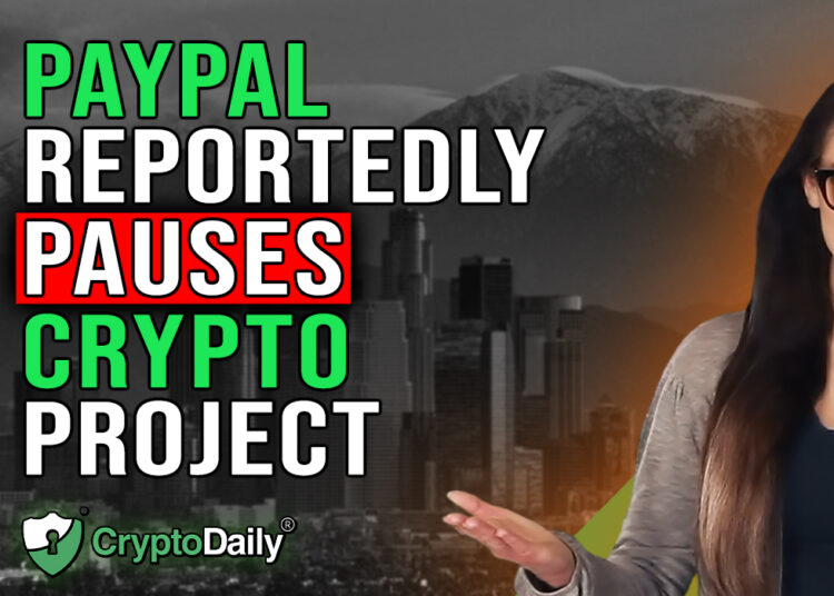 Has PayPal Paused Crypto Project? Crypto Daily TV 14/2/2023