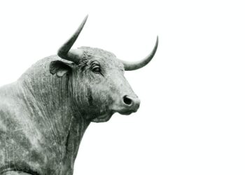 Ripple (XRP) Rival Stellar Lumens (XLM) gives millions of $ to developers in new funding for Soroban