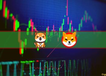BabyDoge Soars 150%, SHIB Up 28% (Weekend Watch)