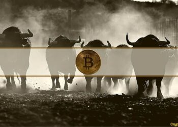 Next Crypto Bull Run Will be Driven by Asia: Cameron Winklevoss